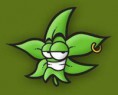 /album/galeria-de-fotos-nhacoma/maconha-stile-jpg/